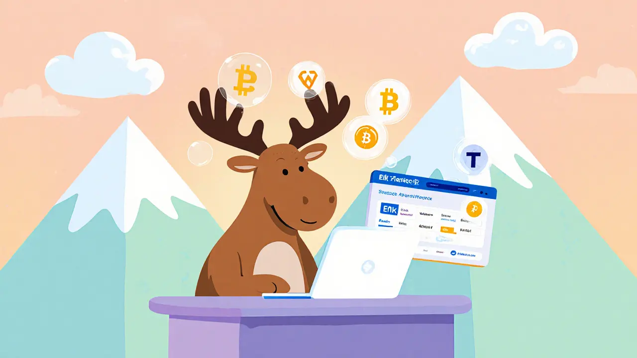 Elk Finance sur Avalanche: revue détaillée du DEX cross‑chain